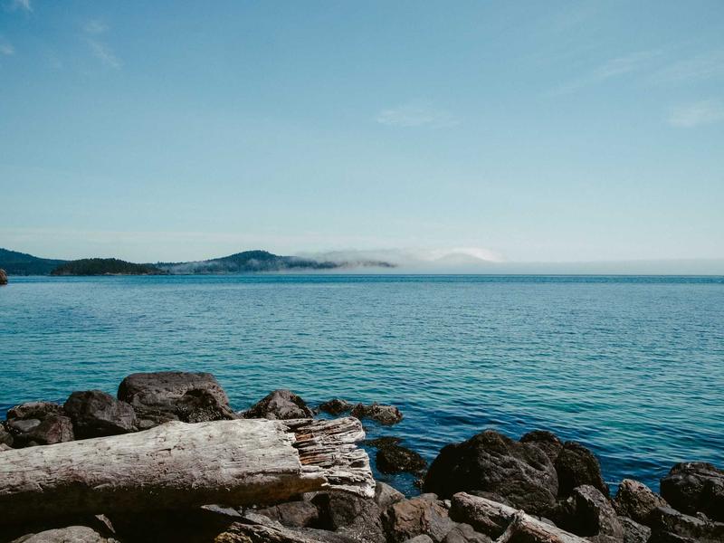 账号交易安全<br>购买出售防骗防找回教学